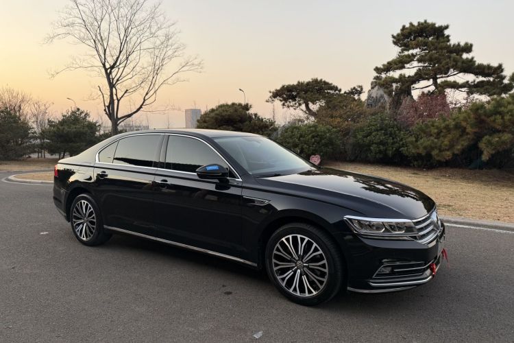 大众 辉昂 2019款 380TSI 两驱商务版 国VI车身外观6002