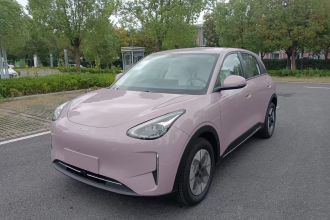 吉利银河 星愿 2025款 310km 梦想版