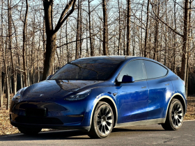 特斯拉 Model Y 2022款 长续航全轮驱动版
