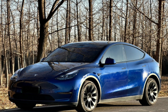 特斯拉 Model Y 2022款 长续航全轮驱动版