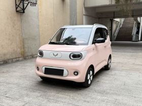 五菱汽车 宏光MINIEV 2024款 第三代 215km 进阶版