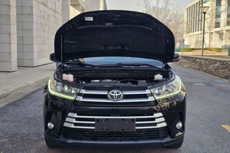 丰田 汉兰达 2018款 2.0T 两驱精英版 5座 国VI局部细节24