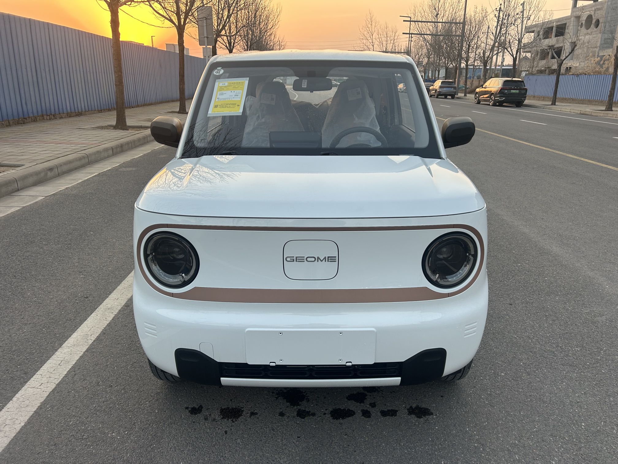 吉利汽车 2024款 熊猫mini 200km 耐力熊