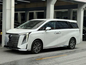 广汽传祺 传祺M8 2024款 大师系列 超级混动版