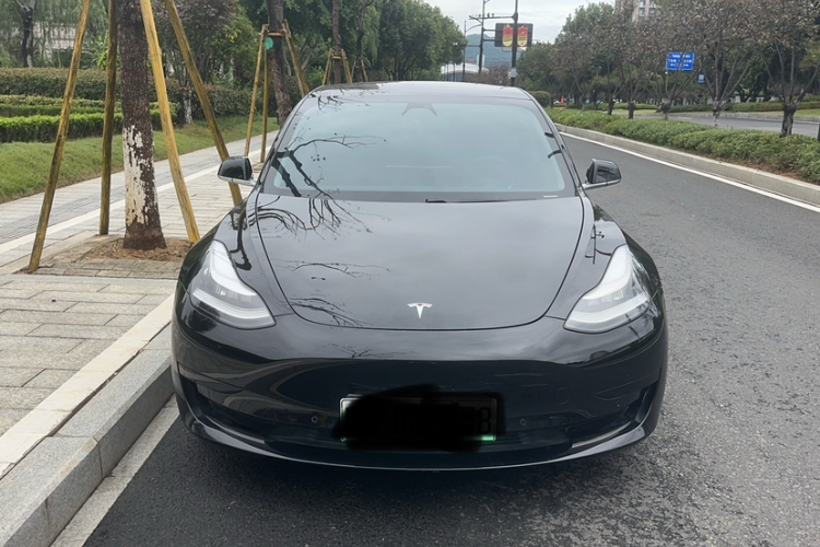 特斯拉 Model 3 2020款 改款 标准续航后驱升级版车身外观6002