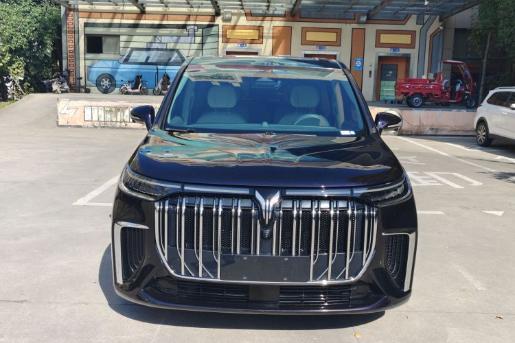 岚图汽车 岚图梦想家 2022款 低碳版 想+智驾包车身外观6005