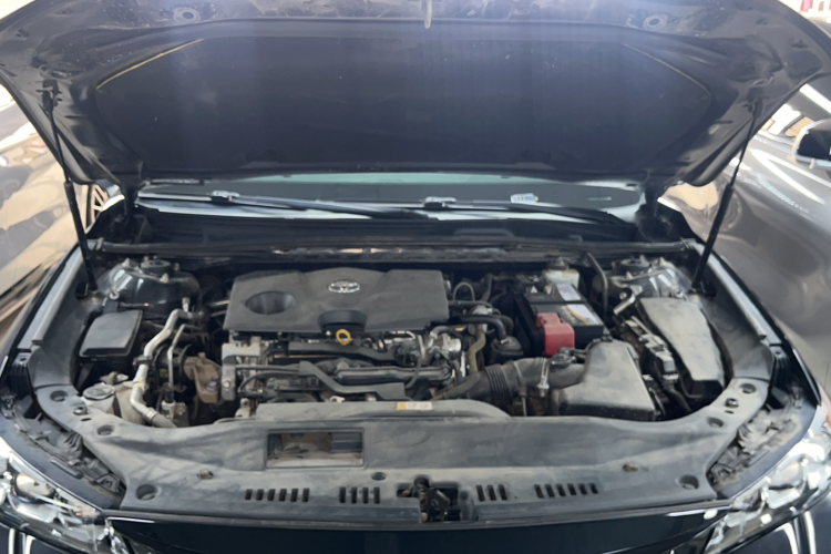 丰田 亚洲龙 2019款 2.0L XLE尊享版 国VI局部细节24