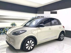 五菱汽车 五菱缤果 2023款 333km 悦享+款