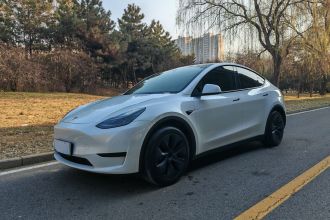 特斯拉 Model Y 2024款 后轮驱动版