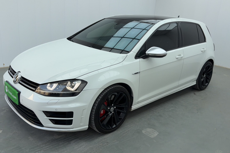 大众 高尔夫(进口) 2015款 2.0TSI R车身外观6008