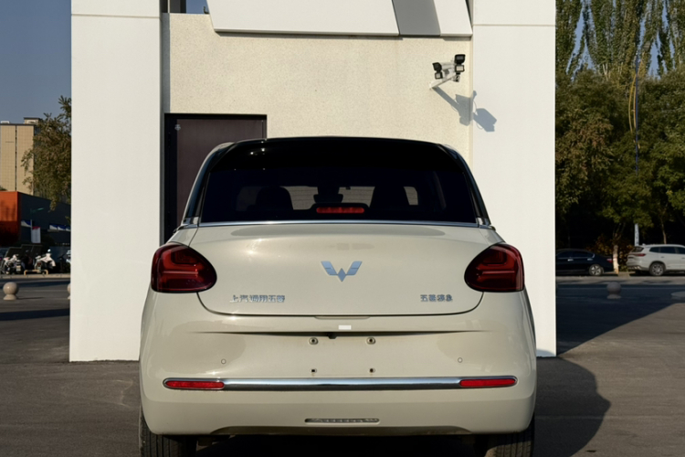 五菱汽车 五菱缤果 2023款 333km 灵犀互联款车身外观6005