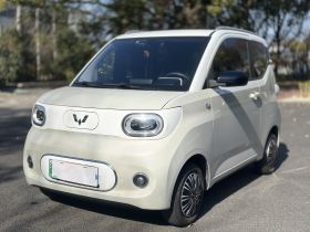 五菱汽车 宏光MINIEV 2024款 第三代 215km 进阶版
