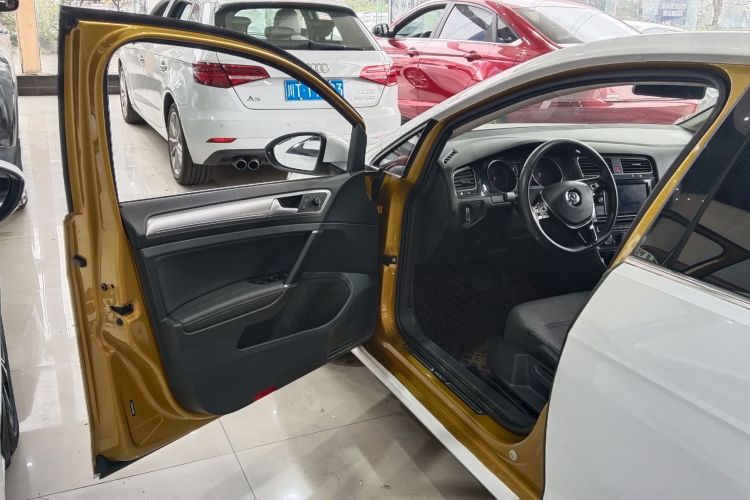 大众 高尔夫 2019款 280TSI DSG舒适型 国VI中控内饰7009