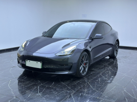 特斯拉 Model 3 2022款 Performance高性能全轮驱动版