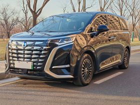 腾势D9 2024款 DM-i 980 四驱尊贵型