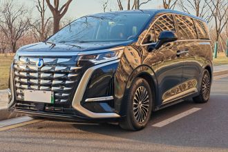 腾势D9 2024款 DM-i 980 四驱尊贵型