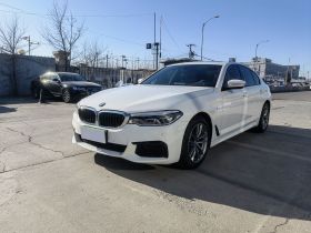 宝马5系(进口) 2019款 改款 525i M运动套装