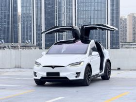 特斯拉 Model X 2019款 长续航版