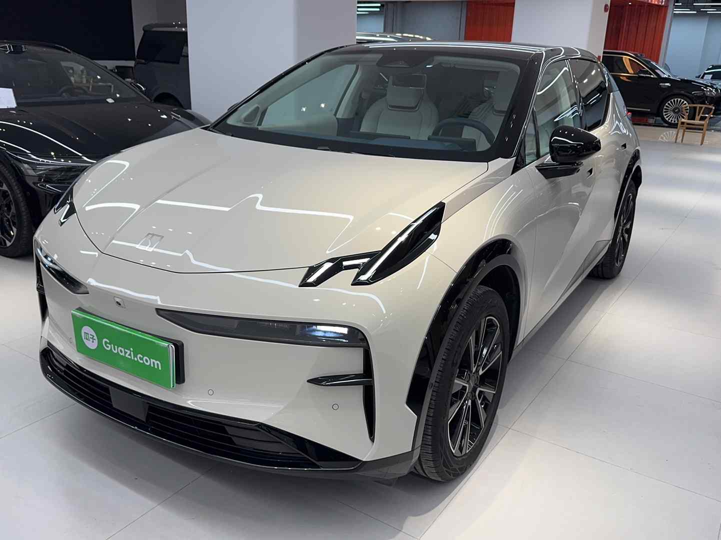 极氪X 2025款 五座长续航版(2)