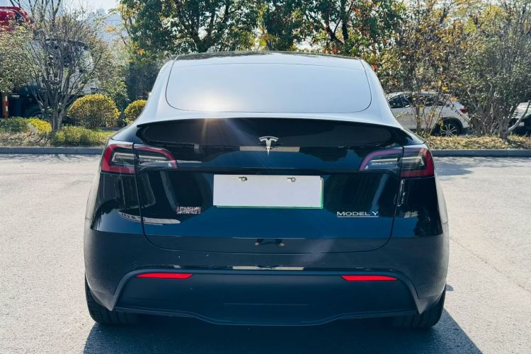特斯拉 Model Y 2021款 Performance高性能全轮驱动版车身外观6004