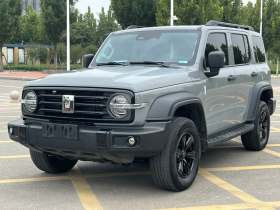 坦克300 2021款 越野版 2.0T 征服者