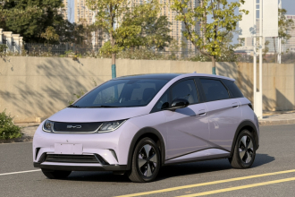 比亚迪 海豚 2023款 420km 时尚版