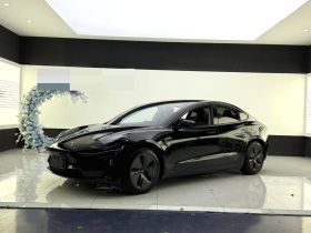 特斯拉 Model 3 2020款 标准续航后驱升级版