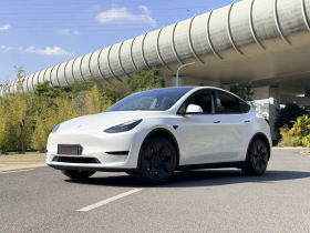 特斯拉 Model Y 2024款 后轮驱动版