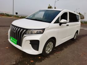 BAW北汽制造 锐胜王牌M7 2023款 2.0L 长轴创富型 7座