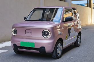 吉利银河 2024款 熊猫mini 200km 龙腾PRO版