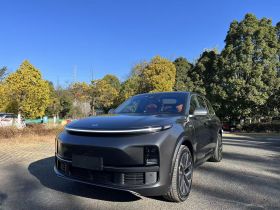 理想汽车 理想L9 2023款 Pro