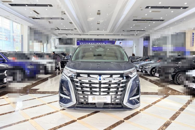 腾势D9 2022款 DM-i 1040 尊贵型车身外观6002