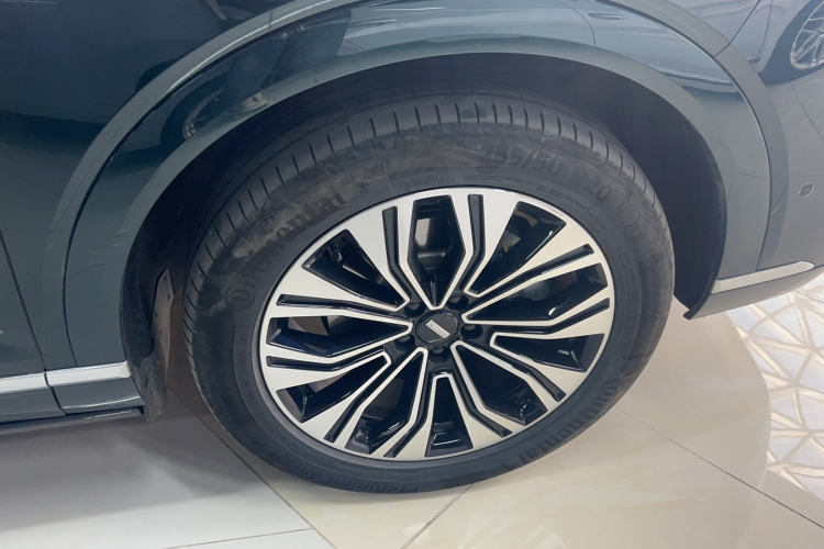 魏牌 蓝山 2023款 四驱超长续航版车身外观6005