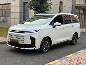 上汽大通MAXUS 大通G50插电混动 2025款 领航版