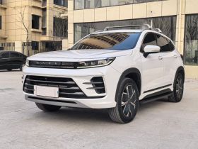 星途追风C-DM 2023款 1.5TCI-DHT 80KM乘风起版