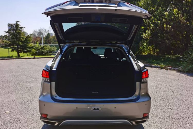 雷克萨斯RX 2020款 改款 300 两驱精英版中控内饰7008