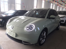 欧拉好猫 2023款 401km标准续航 尊贵型 三元锂