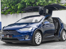 特斯拉 Model X 2019款 长续航版