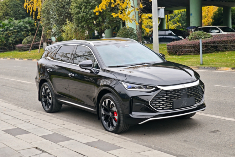 比亚迪 唐新能源 2024款 DM-p 荣耀版 215KM 四驱尊享型车身外观6004