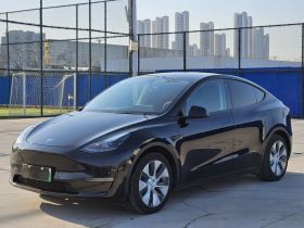 特斯拉 Model Y 2021款 标准续航后驱版