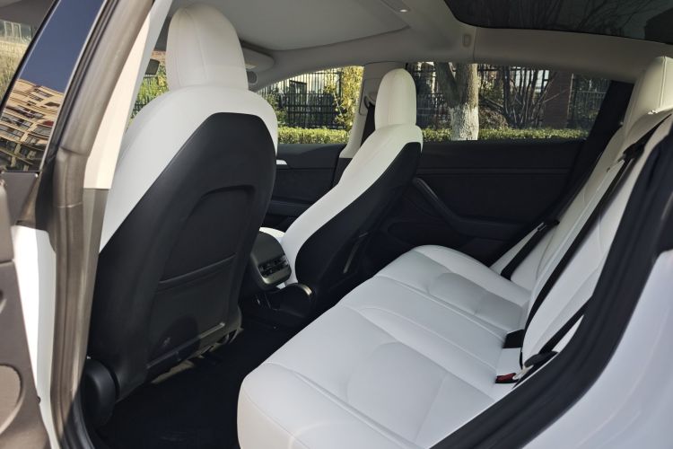 特斯拉 Model 3 2021款 改款 标准续航后驱升级版 3D1中控内饰7003