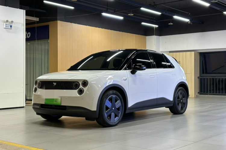 firefly萤火虫 2025款 自在版车身外观6002