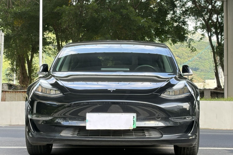 特斯拉 Model 3(进口) 2019款 长续航后驱版车身外观6007