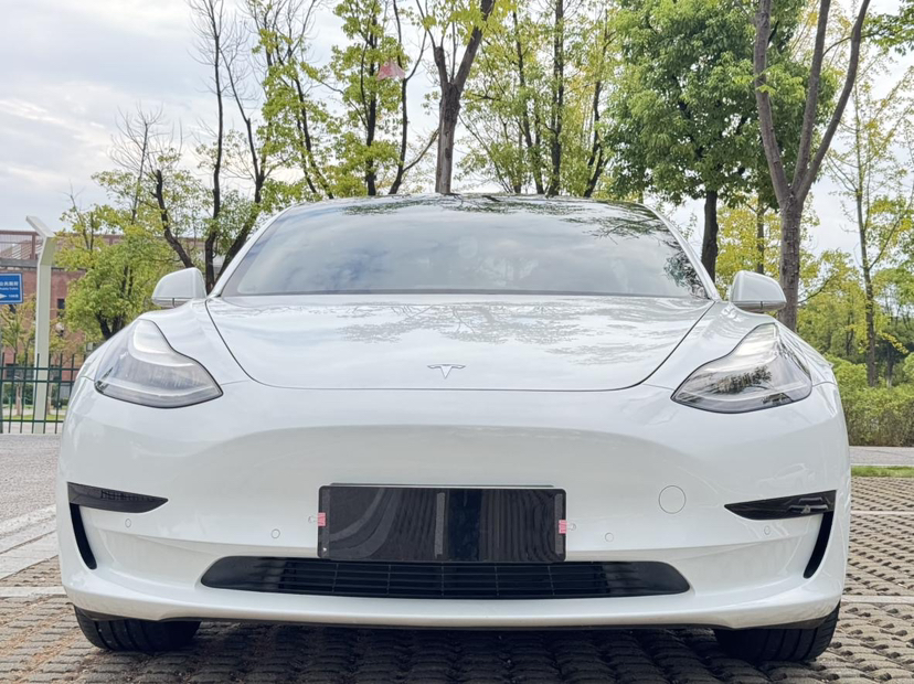 特斯拉 Model 3 2019款 标准续航后驱升级版