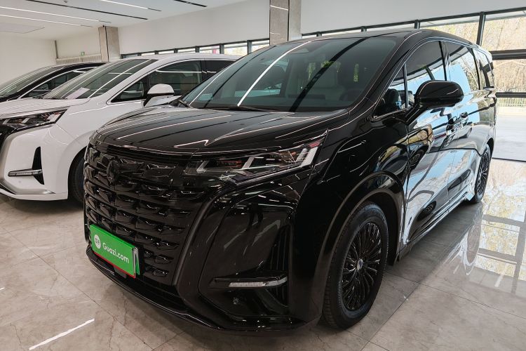 腾势D9 2024款 DM-i 980 四驱尊荣型车身外观6005