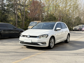 大众 高尔夫 2019款 280TSI DSG舒适型 国VI