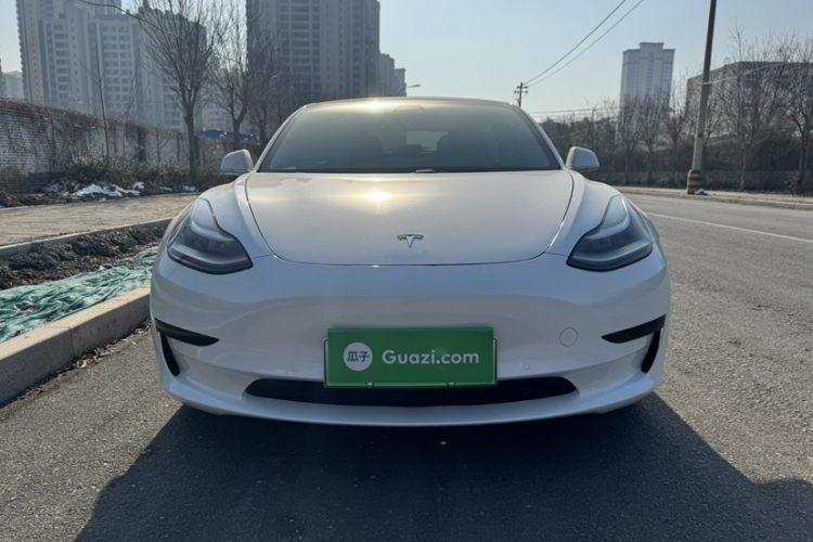 特斯拉 Model 3 2020款 标准续航后驱升级版车身外观6006