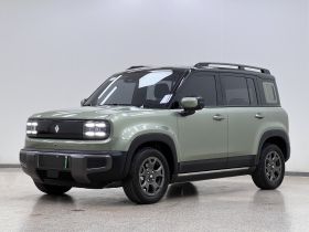 宝骏悦也Plus 2024款 智尊版 4座