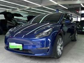 特斯拉 Model Y 2021款 长续航全轮驱动版 3D7