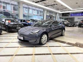 特斯拉 Model 3 2020款 改款 长续航后轮驱动版